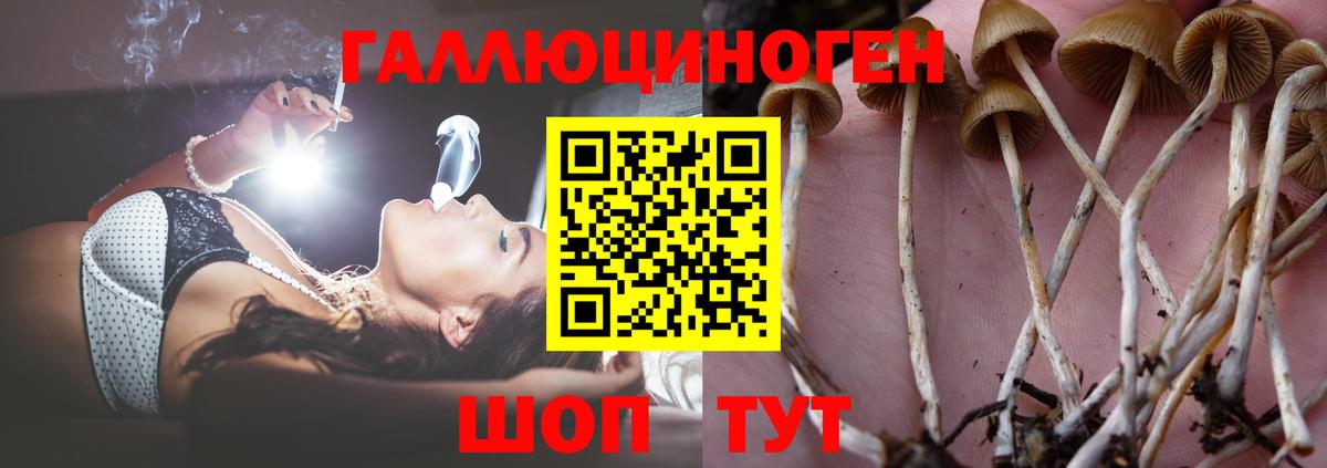 Псилоцибиновые грибы Magic Shrooms Наро-Фоминск